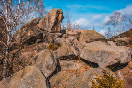 Fig tree cliff at Okertal. Rocky cliffs near Goslar at Harz Mountains National Park, Germanyの写真素材