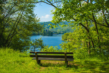 Rursee at Eifel National Park, Germany. Scenic view of lake Rursee and surrounded green hills in North Rhine-Westphaliaの写真素材
