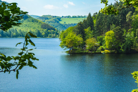 Rursee at Eifel National Park, Germany. Scenic view of lake Rursee and surrounded lush green landscape in North Rhine-Westphaliaの写真素材
