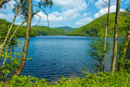 Rursee at Eifel National Park, Germany. Scenic view of lake Rursee and surrounded green hills in North Rhine-Westphaliaの写真素材