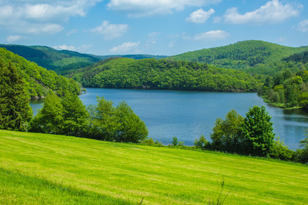 Rursee at Eifel National Park, Germany. Scenic view of lake Rursee and surrounded green hills in North Rhine-Westphaliaの写真素材