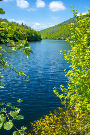 Rursee at Eifel National Park, Germany. Scenic view of lake Rursee and surrounded green hills in North Rhine-Westphaliaの写真素材