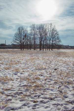 Winter landscape in Braunschweig, Lower Saxony, Germany. Snow covered Westpark on a cloudy winter dayの写真素材