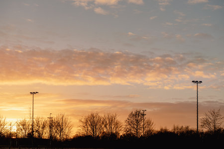 Sunset over a field with silhouettes of trees and forestの写真素材