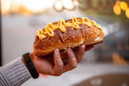 fast food in hand. delicious hot dog.の写真素材