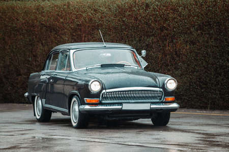 Soviet retro car amid the bush on a rainy dayの写真素材