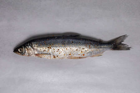salted river fish in spices on a gray background.