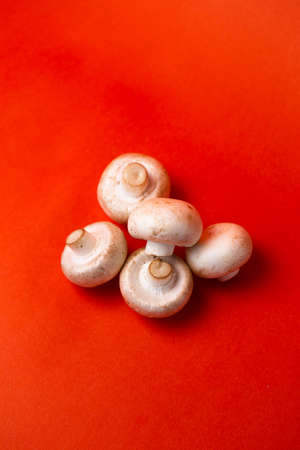 View from above white mushroom mushrooms on a red background.の写真素材