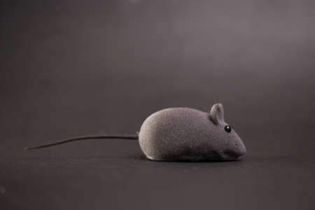 gray toy mouse for cat on a gray background.の写真素材