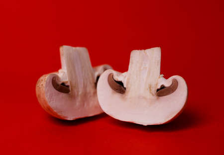 two mushrooms of mushrooms in a cut on a red background.の写真素材