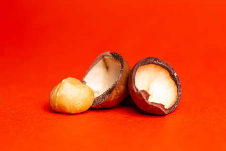 shell and kernel of macadamia nut close-up background.