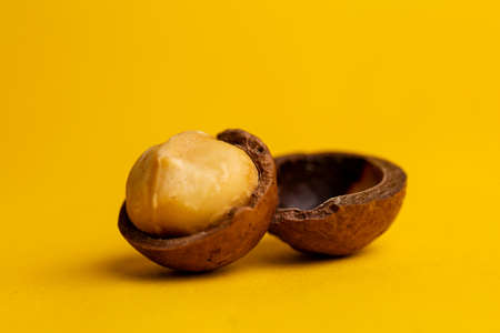 delicious and high-calorie macadamia nut on a yellow background.の写真素材