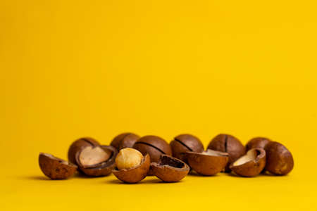 the most delicious macadamia nut on a yellow background.の写真素材