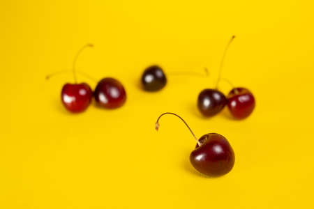 ripe summer cherries on a yellow background.の写真素材