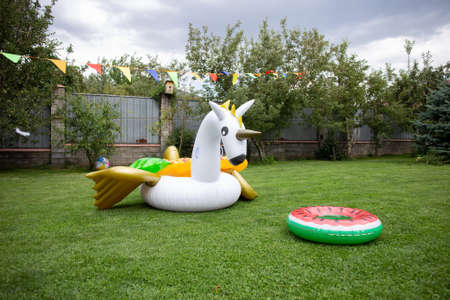 beautiful summer inflatable swimming circles on the green grass.の写真素材