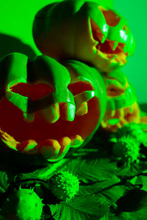 carved pumpkins for halloween in green light.の写真素材