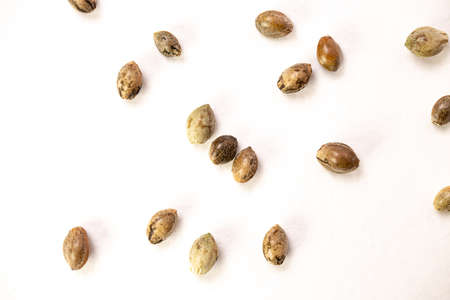 Hemp seeds on white background. top view.の写真素材