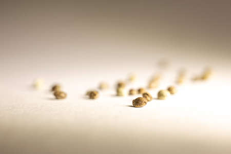 cannabis seeds are scattered on a white background.の写真素材