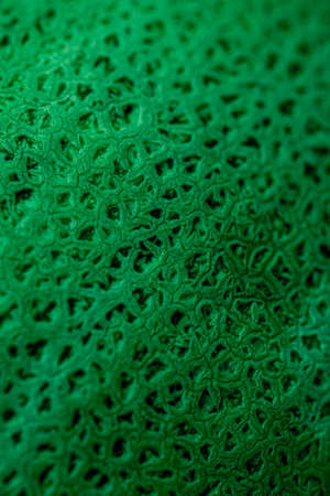 abstract green background with melon texture close-up.の写真素材