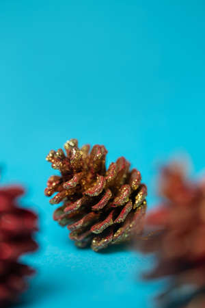 a pine cone is a New Year's toy. a bump on a blue background.