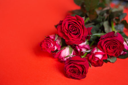 a bouquet of flowers. pink roses on a red background.の写真素材