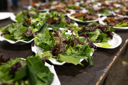 lettuce leaves on a white plate close-up.の写真素材
