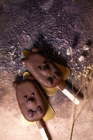 cold ice cream in chocolate glaze in the form of a bear top view.の写真素材