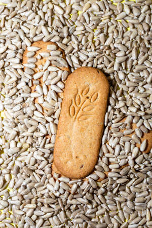 cookies on the background of sunflower seeds.の写真素材