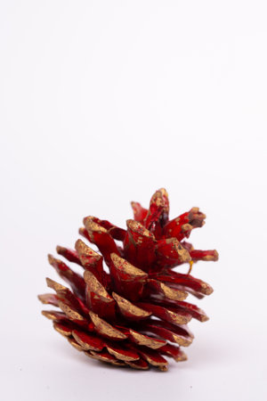 new year's red cedar cone on a white background.の写真素材