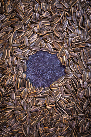 top view of a background of fried sunflower seeds. A circle of seeds on a concrete backgroundの写真素材