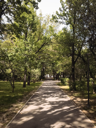 A wide, paved path through a lush park with mature trees. Popular for walking, running, biking....