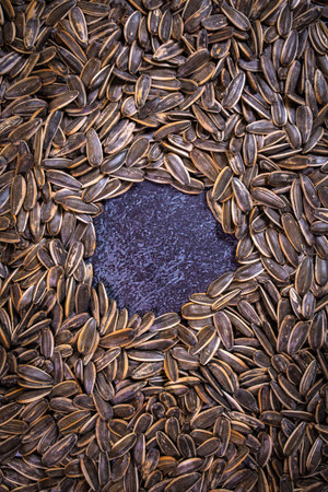 Close-up of sunflower seeds scattered on a dark stone surface. Concept of food, healthy nutrition, natural snack, and textured culinary background.の写真素材