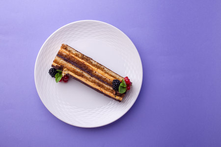 Chocolate cake with berries - top view on purple, luxury in every layerの写真素材