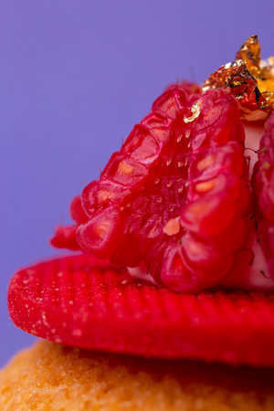 Macro of dessert with raspberry and gold - luxury, texture and bold colors on purpleの写真素材