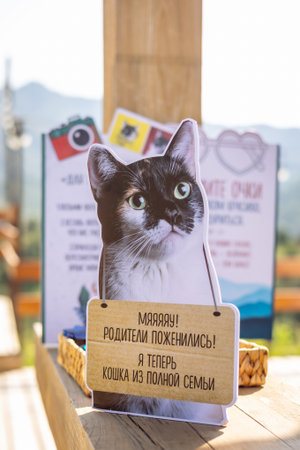 Cat cutout with wooden sign announcing Parents got married - I am now part of a full family. Whimsical wedding photo prop featuring a cat and playful messageの写真素材