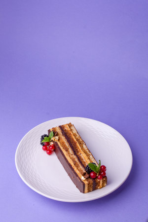 Elegant layered cake slice with chocolate glaze and berries on white plate against purpleの写真素材