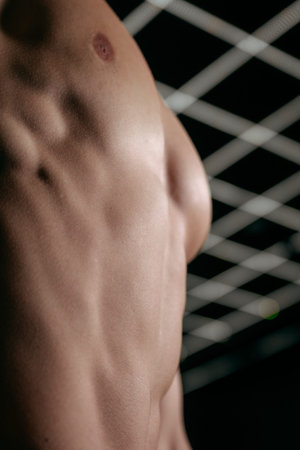 Sculpted male side torso showing pronounced abdominal muscles, obliques, and chest definition under dramatic gym lighting, symbolizing strength and fitness dedication.の写真素材
