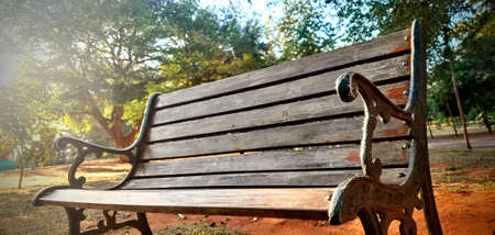 bench in the parkの写真素材