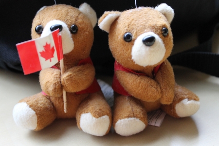 Bears from Vancouverの写真素材