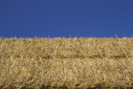 Straw bale silhouetted over the blue skyの写真素材