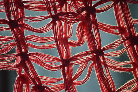 Detail Hammockの写真素材