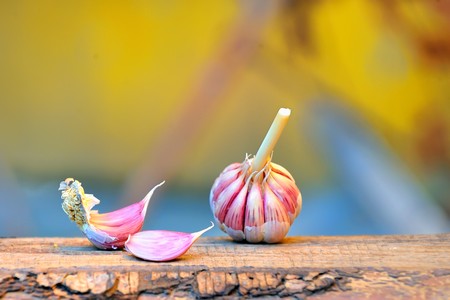 Garlics on old woodの写真素材