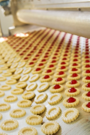 production cookie in factoryの写真素材