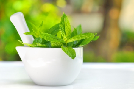 Mortar and mint leavesの写真素材