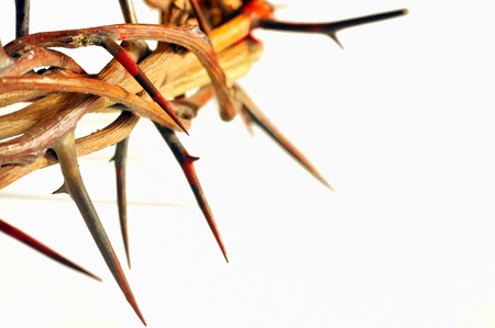 Crown of thorns isolated on whiteの写真素材