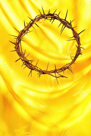 Crown of Thornsの写真素材