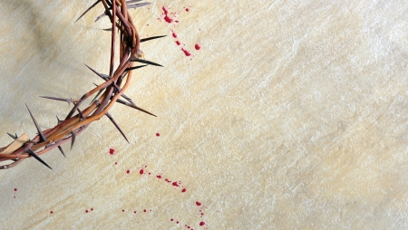 Crown of thorns Crown of thorns