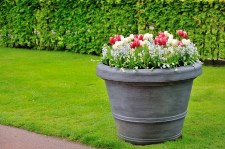 basket of spring flowers in garden shoot の写真素材