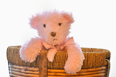  bear in the basket shoot in studioの写真素材