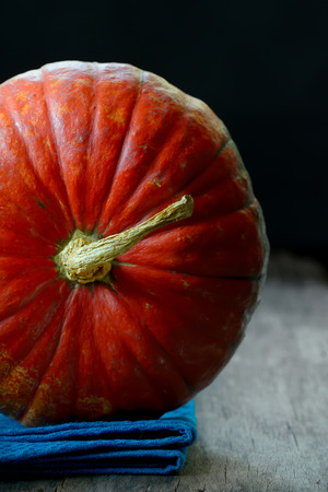 Fresh organic pumpkin with stem at an October, closeupの写真素材